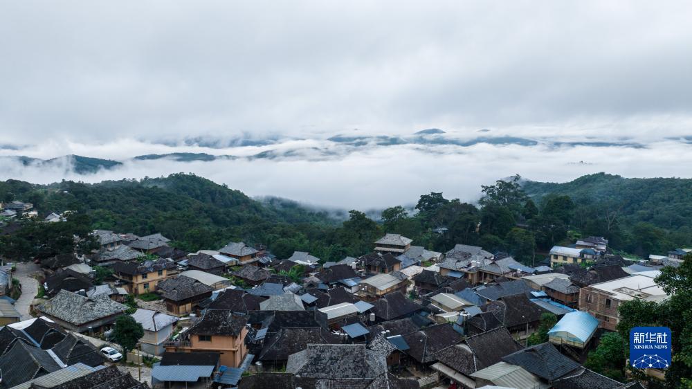 白菜注册验证手机号领